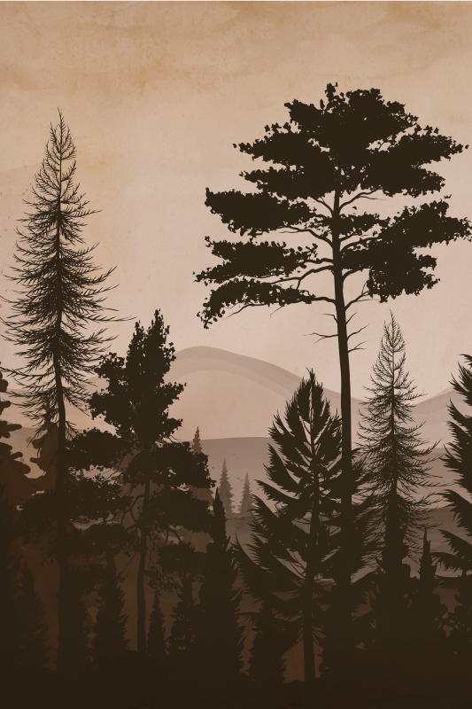 Poster baum im skandinavischen stil warm gefärbter wald - TenStickers
