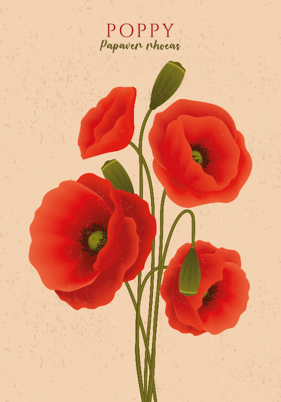 Blumenposter mit mohnblumen - TenStickers