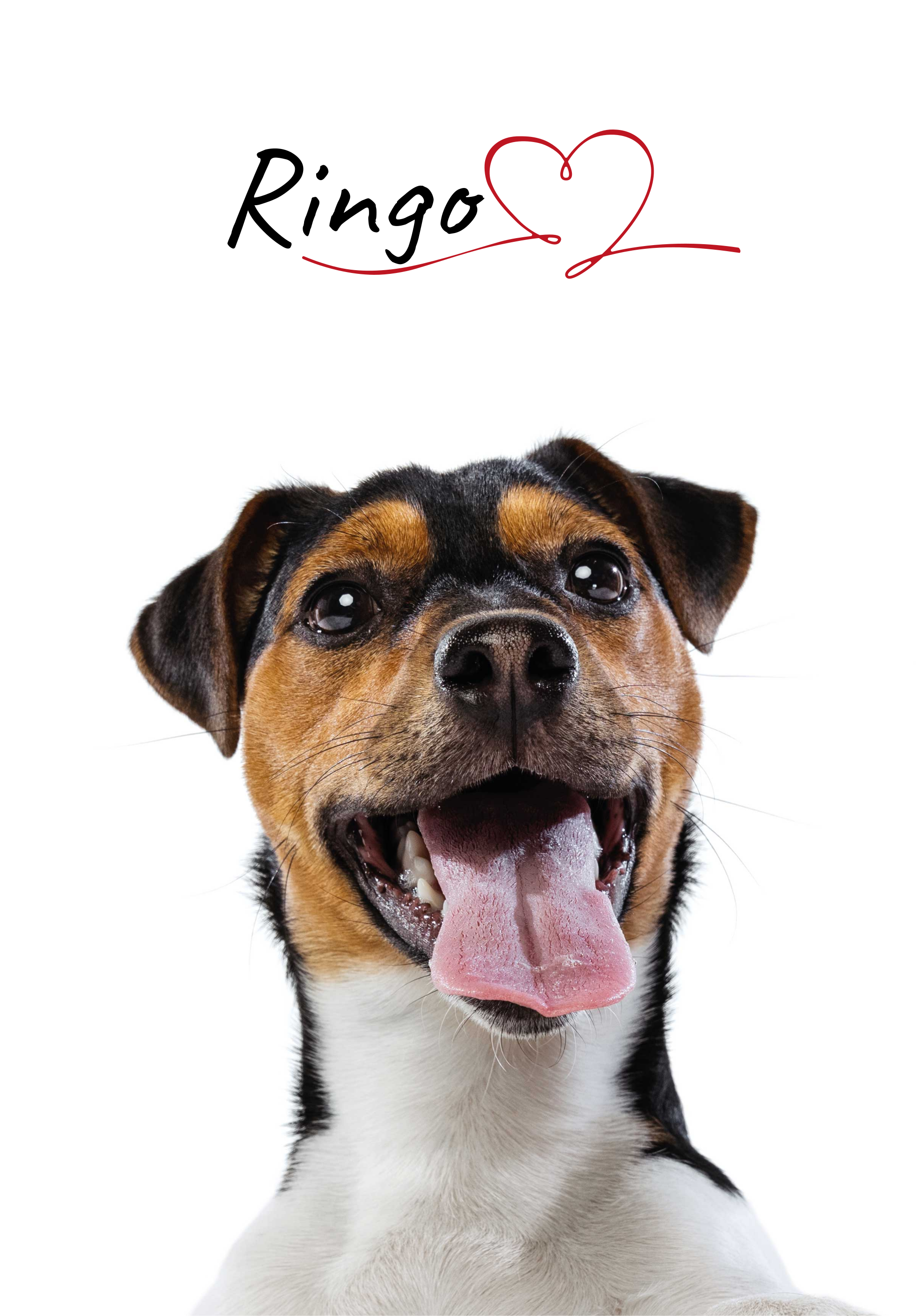 Kundenspezifisches hundeliebesplakat für wand - TenStickers