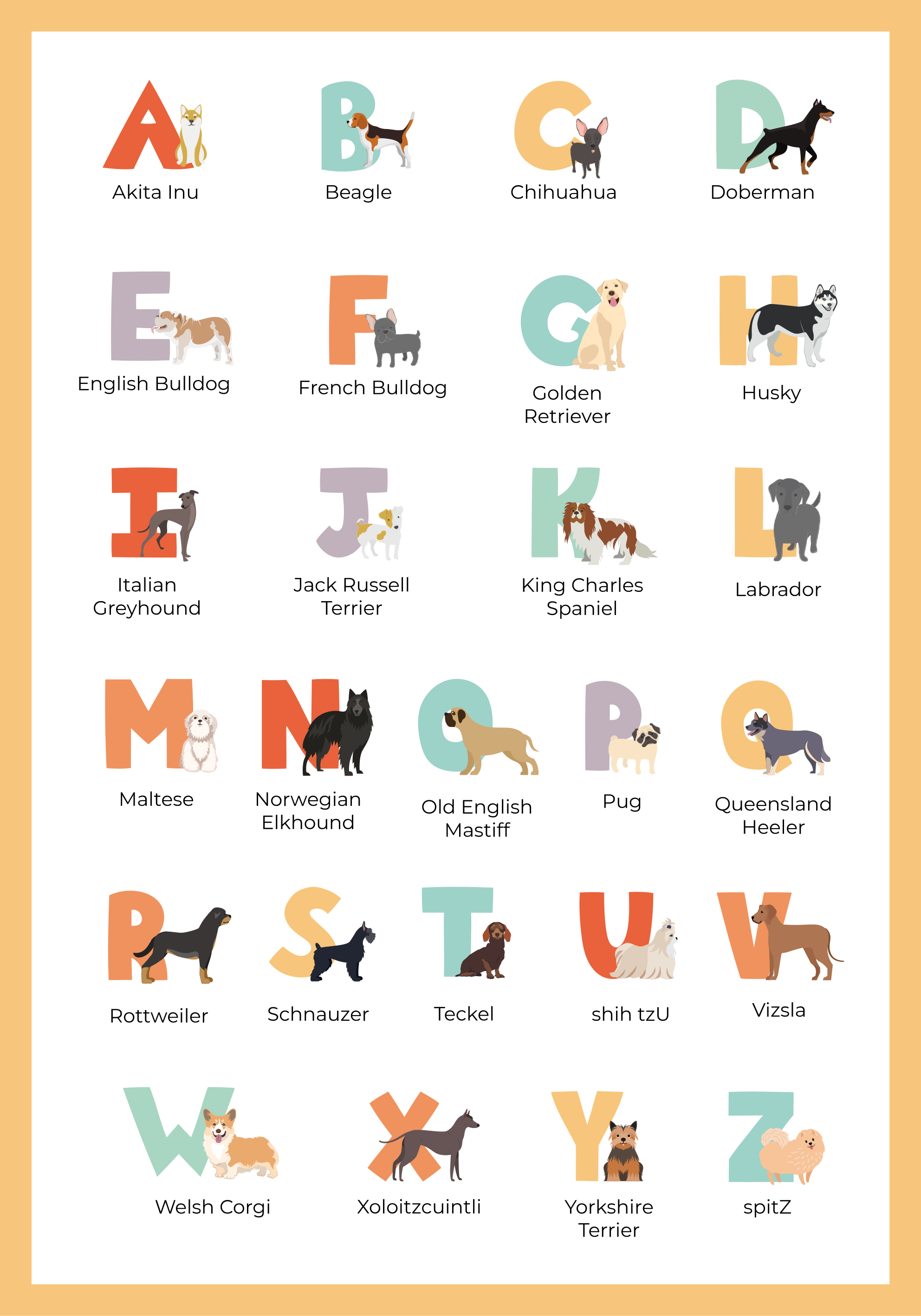 Hunde Poster Alphabet Hunderassen - TenStickers
