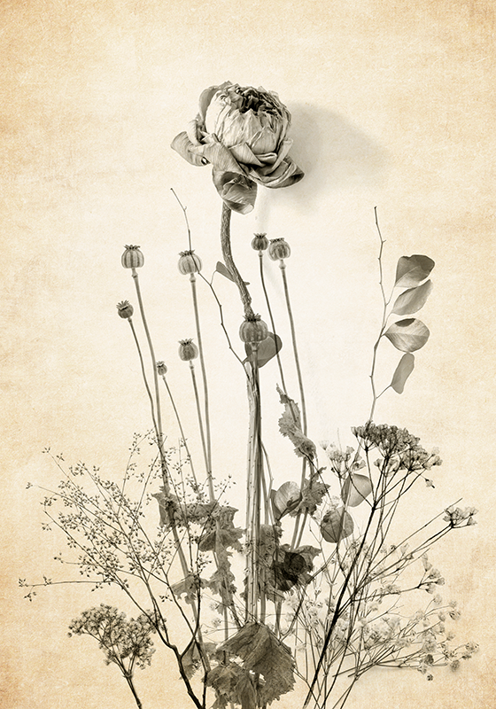 Blumenposter blumenstrauß auf beigem hintergrund - TenStickers