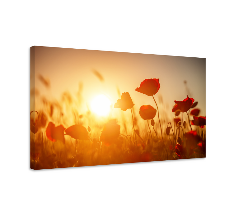 Leinwandbild Blume Rote blumen auf sonnenuntergang - TenStickers