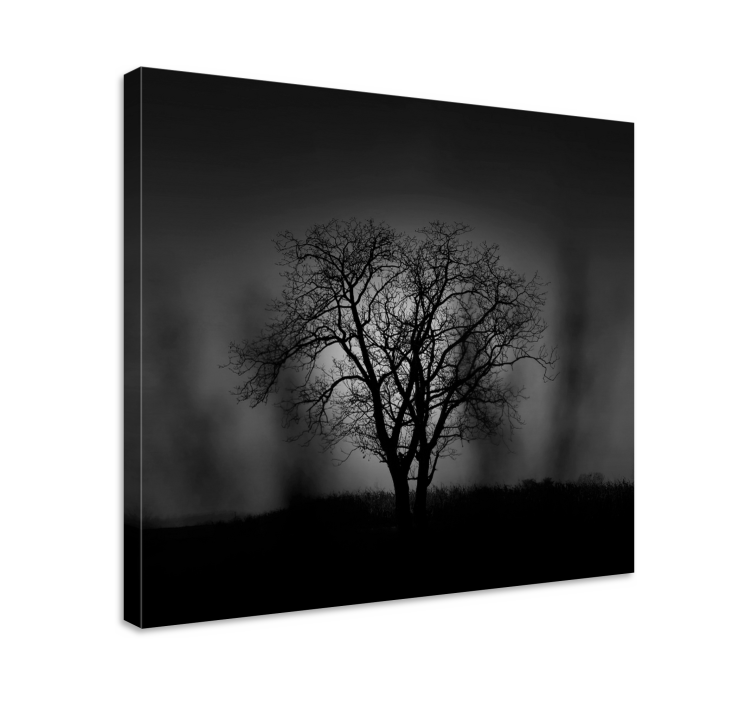 Wandbild baum silhouette eines baumes - TenStickers