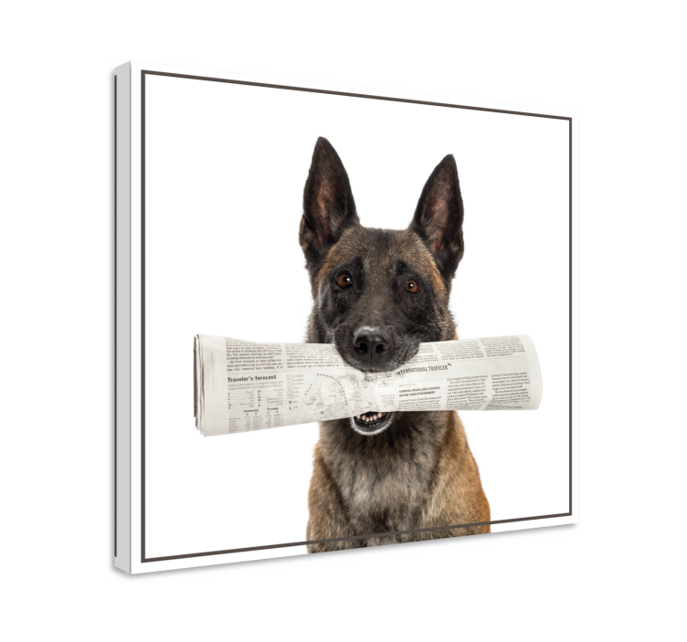 Wandbilder hunde mit hund der zeitung trägt - TenStickers