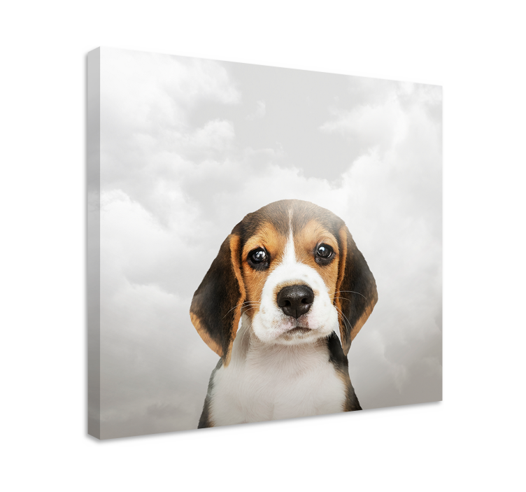 Wandbilder hunde beagle porträt - TenStickers