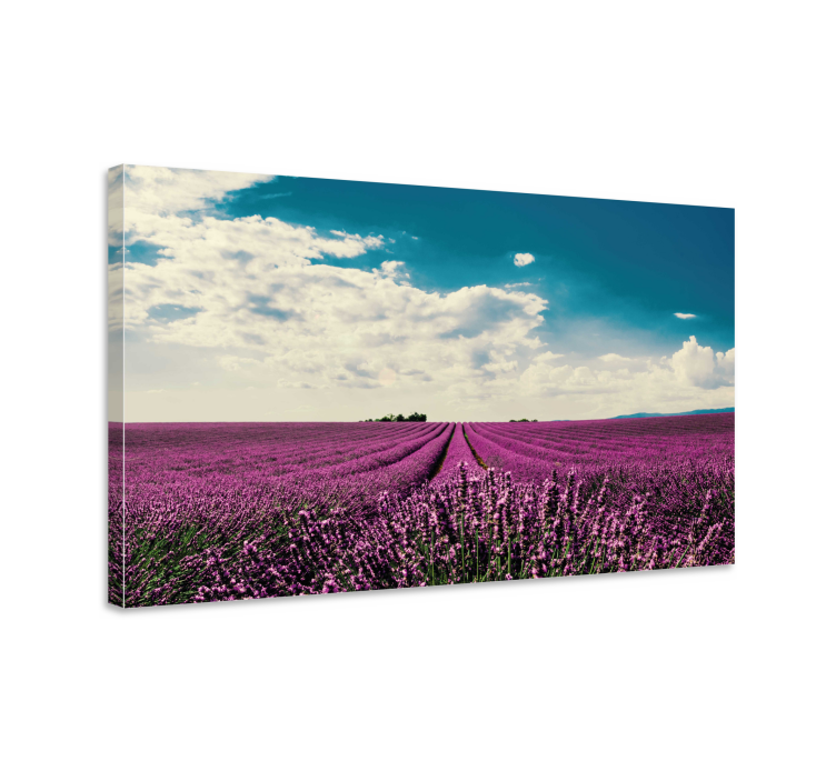 Leinwandbild lavendelfeld landschaft - TenStickers