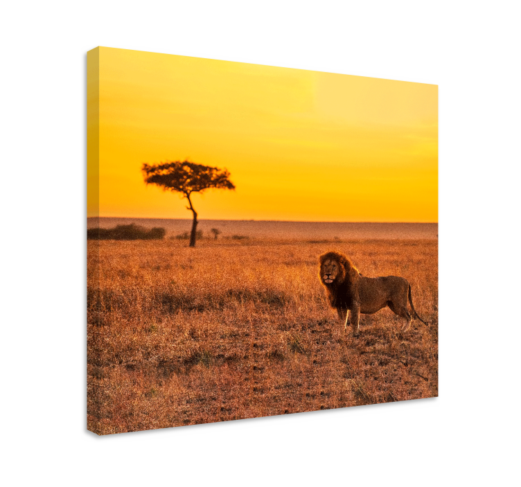 Wandbild Tier Wilder savannenbaum am abend - TenStickers