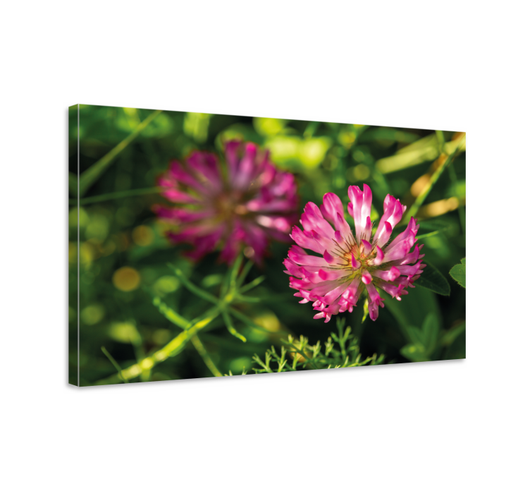 Leinwandbild pinkes blumencluster - TenStickers