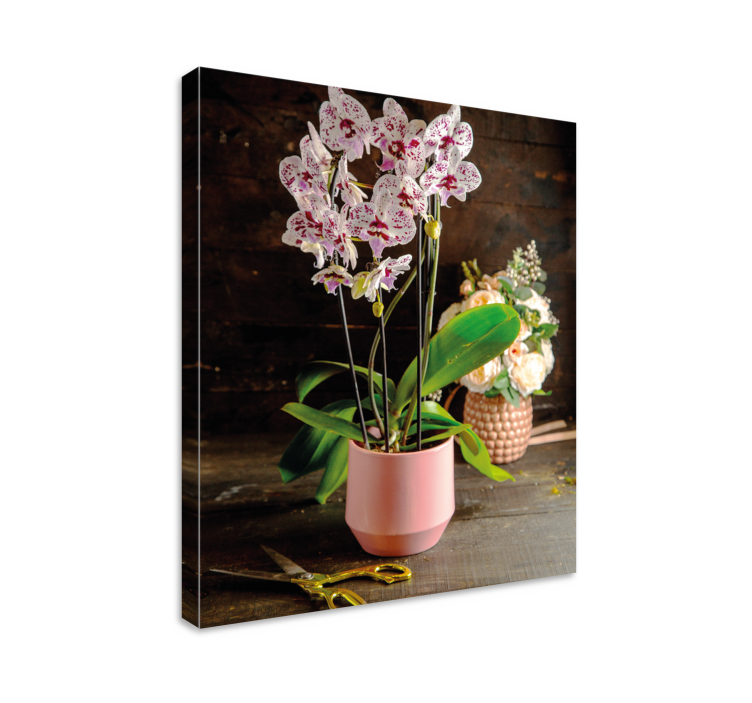 Leinwandbild orchideenarrangement - TenStickers