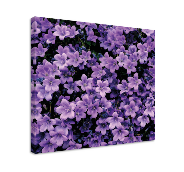 Leinwandbild Blume Vage lila blumen - TenStickers