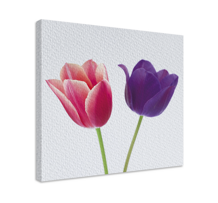 Leinwandbild Blume Lila und rosa tulpen - TenStickers