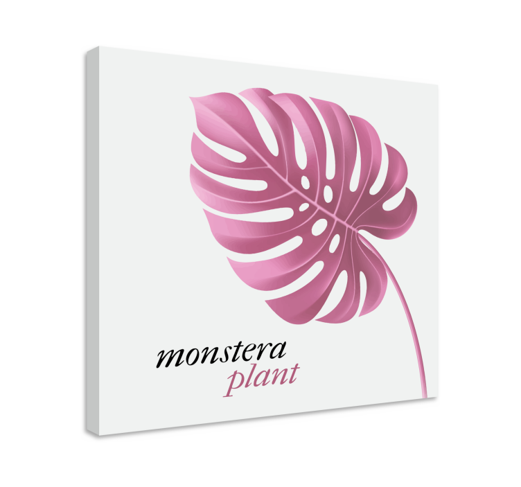 Leinwandbild monstera pflanze - TenStickers