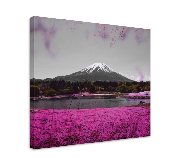 Wandbilder landschaft fuji reflexion - TenStickers