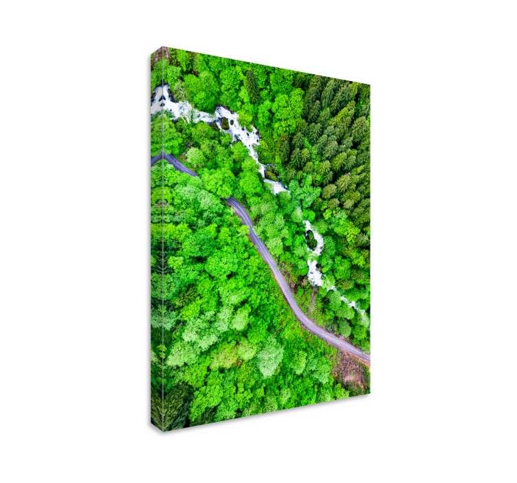 Wandbilder landschaft wunderschöner waldfluss - TenStickers