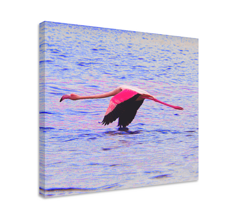 Wandbild fische flamingo im flug - TenStickers