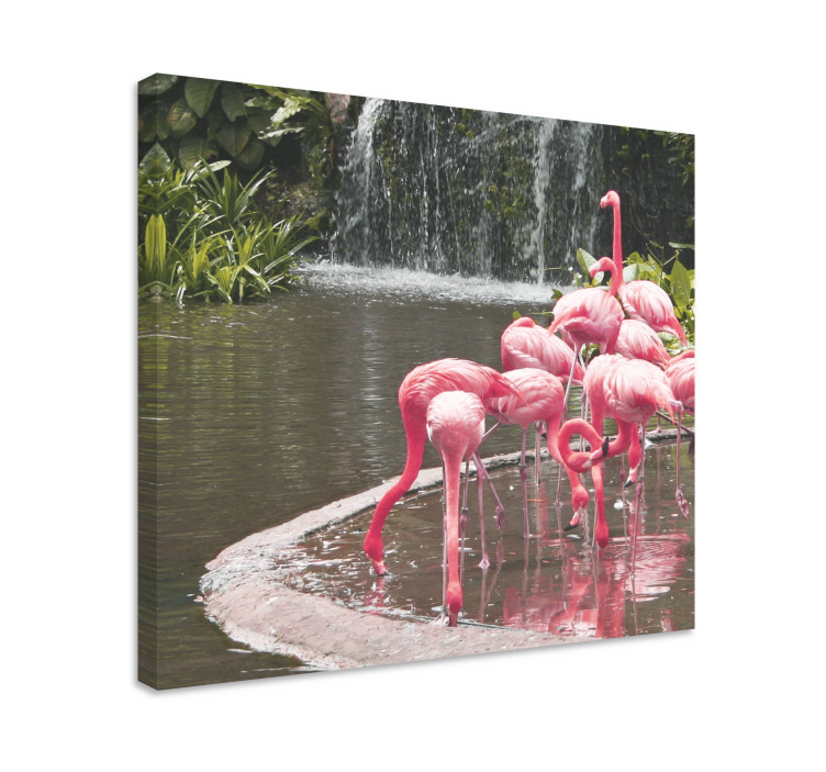 Wandbilder hunde flamingo schwarm pool - TenStickers