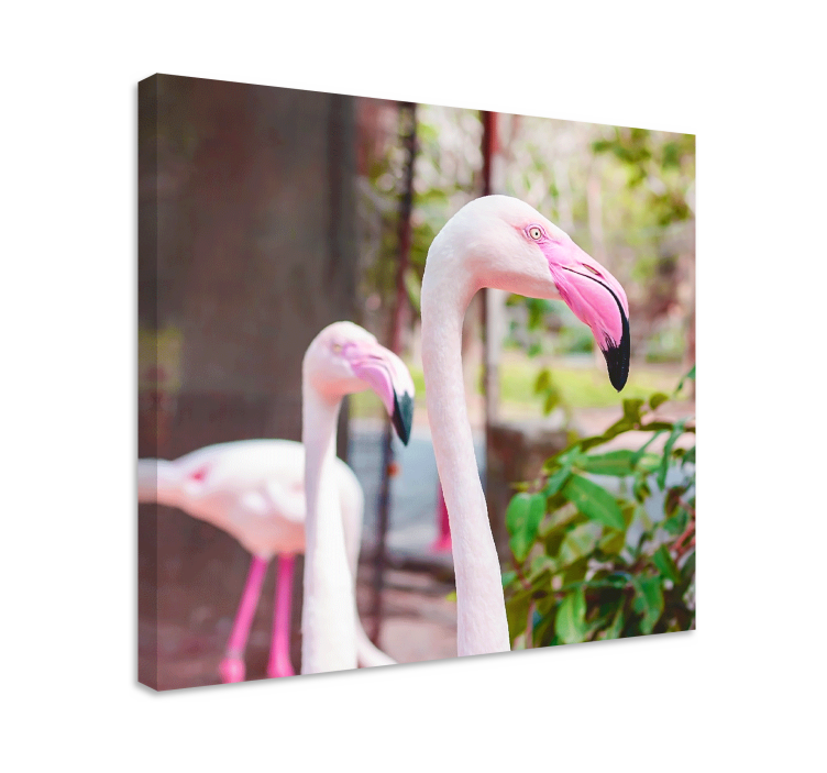 Leinwandbild vogel elegante flamingos zusammen - TenStickers