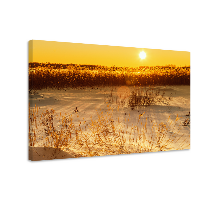 Wandbilder landschaft goldener sonnenaufgang - TenStickers