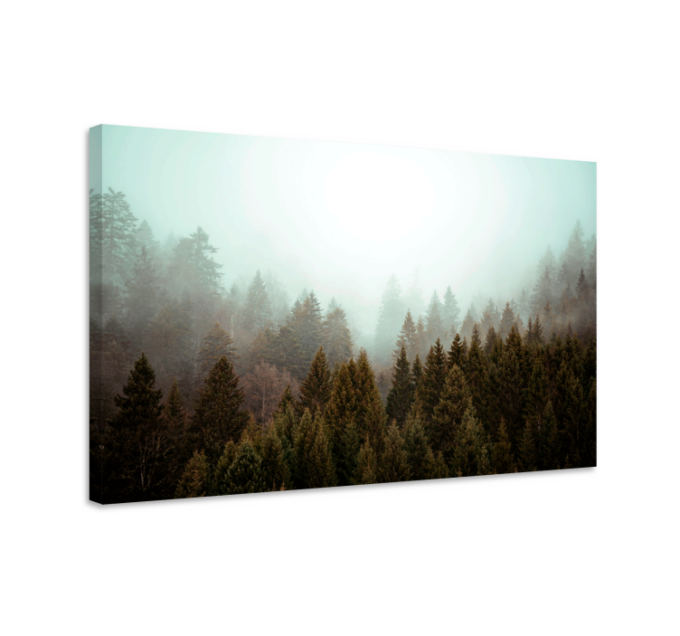 Wandbilder Landschaft Nadelbäume wald und nebel - TenStickers