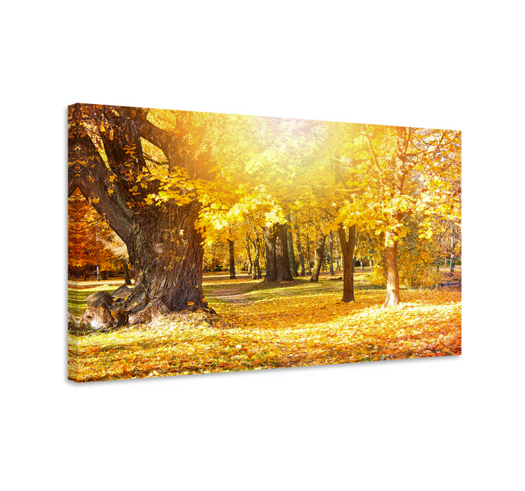 Wandbild baum herbstlicher waldweg - TenStickers