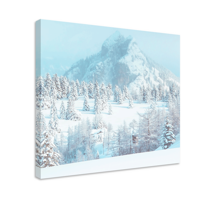 Wandbilder landschaft schneebergansicht - TenStickers