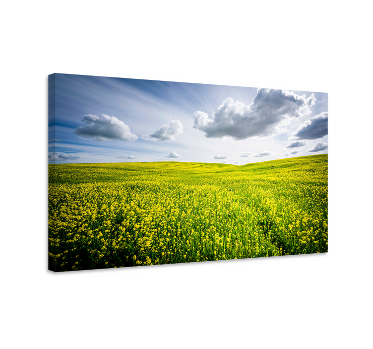 Wandbilder landschaft leuchtendes gelbes feld - TenStickers
