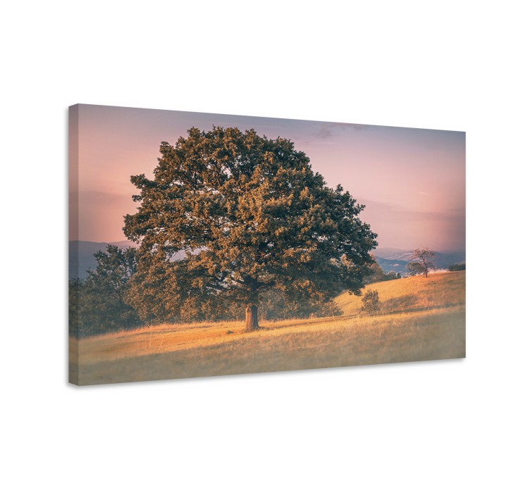 Wandbilder Landschaft Alter baum im cottagecore-stil - TenStickers