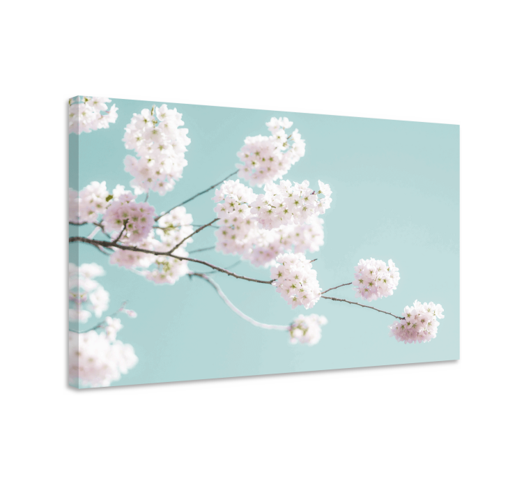 Leinwandbild sakura blüte stängel - TenStickers