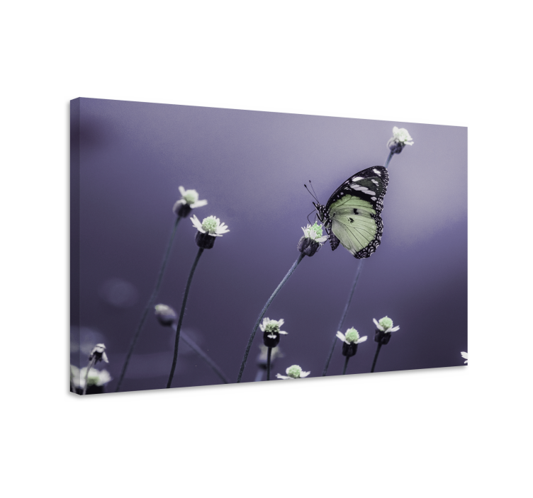 Wandbild schmetterling zwischen blumen - TenStickers