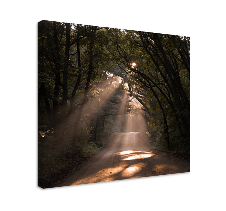 Wandbilder landschaft sonniger waldweg - TenStickers