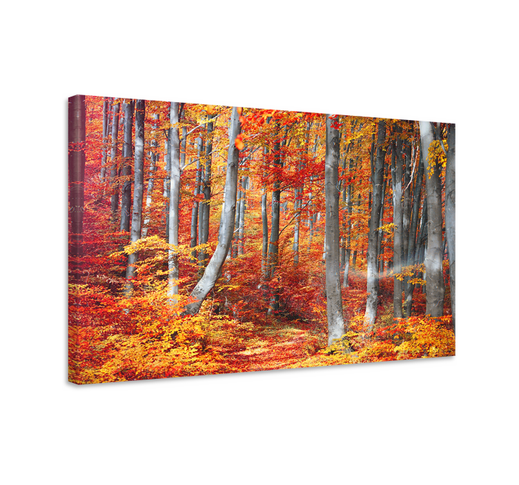 Wandbilder Landschaft Bunter roter alter wald - TenStickers