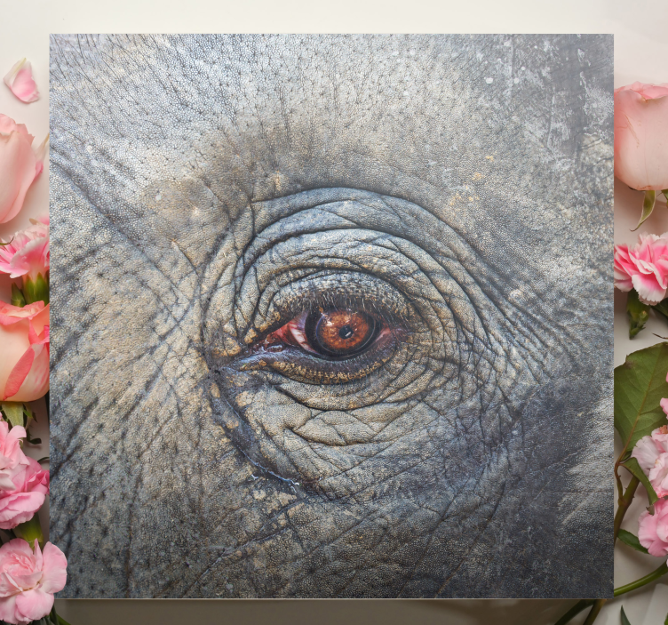 Wandbild Elefant Elefant hautnah - TenStickers