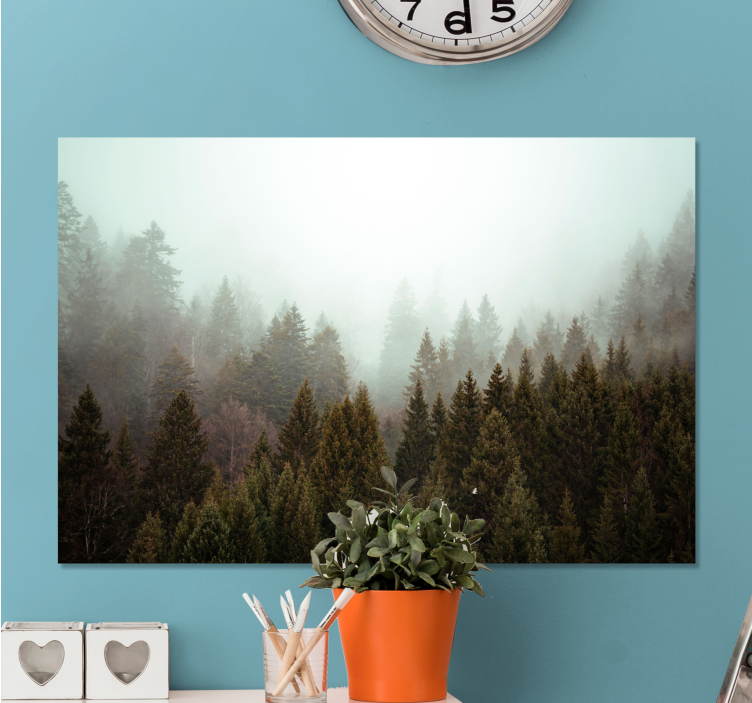 Wandbilder Landschaft Nadelbäume wald und nebel - TenStickers