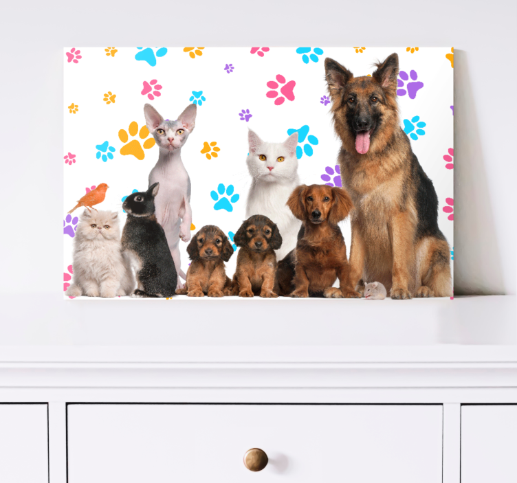 Wandbild Tier Hunde und katzen - TenStickers