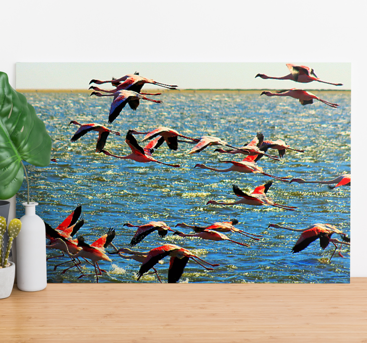 Leinwandbild vogel flamingos im flug - TenStickers