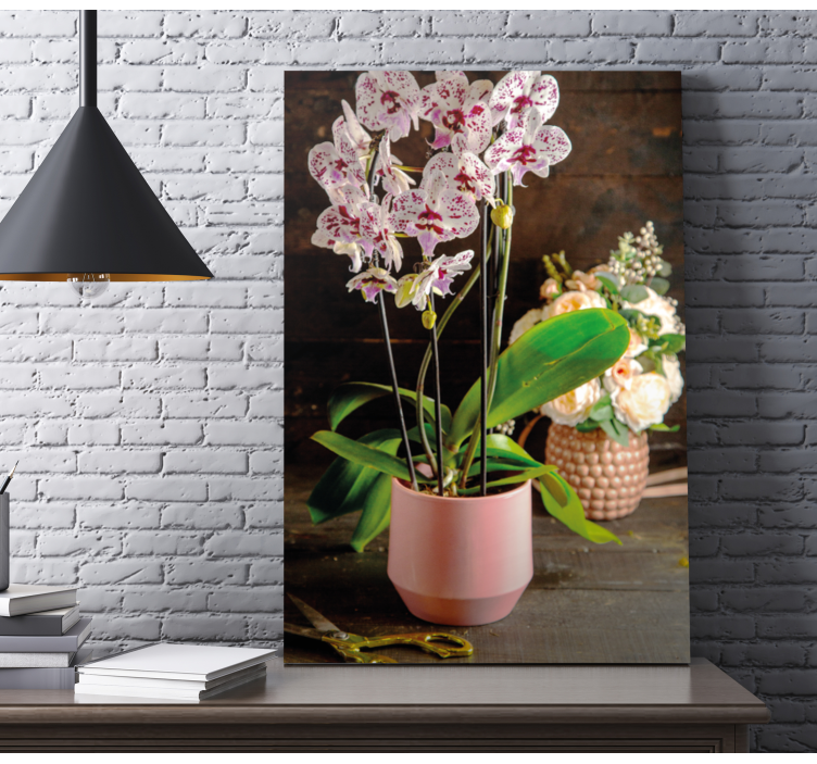 Leinwandbild orchideenarrangement - TenStickers