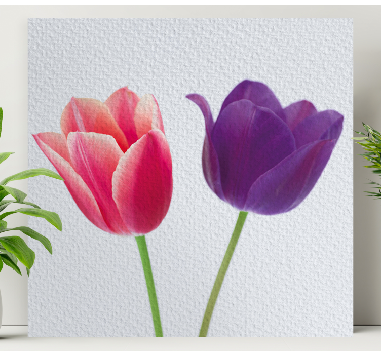 Leinwandbild Blume Lila und rosa tulpen - TenStickers
