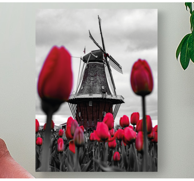 Leinwandbild Blume Tulpenfeld mit windmühle - TenStickers