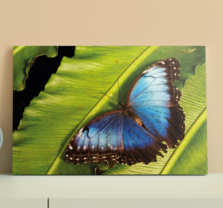 Wandbild schmetterling auf blatt - TenStickers