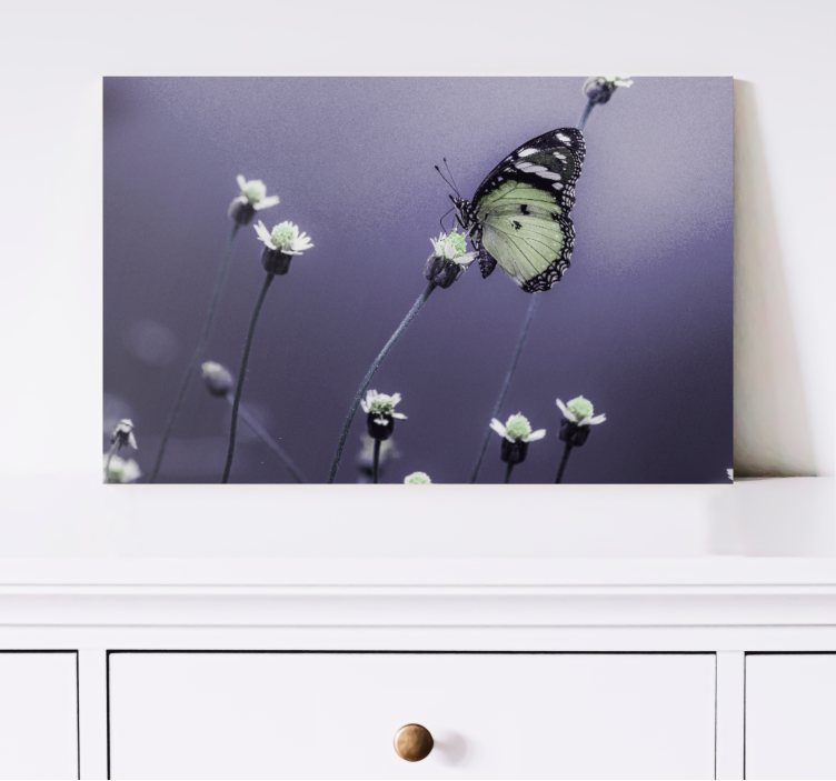 Wandbild schmetterling zwischen blumen - TenStickers