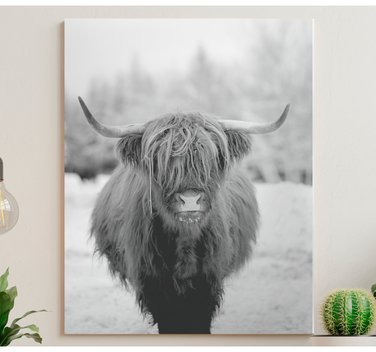Wandbild tier highland cow porträt - TenStickers