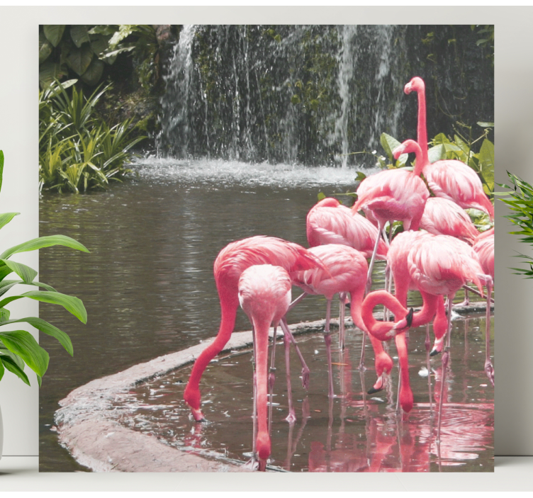 Wandbilder hunde flamingo schwarm pool - TenStickers