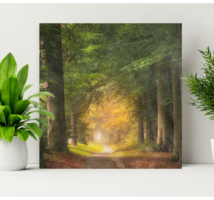 Wandbilder landschaft waldweg der ruhe - TenStickers
