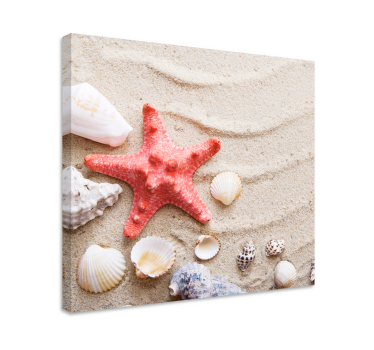 Leinwandbild Tiere Seesterne und muscheln auf sand - TenStickers