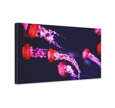 Leinwandbild Tiere Quallen Design - TenStickers