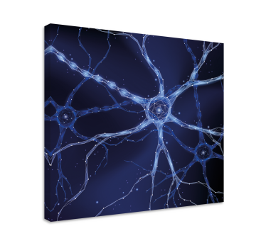 Wandbild abstrakt Gehirnneuronen - TenStickers