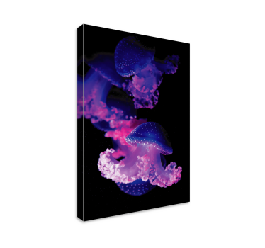 Wandbild modern Lila quallen - TenStickers