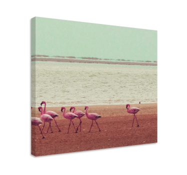Wandbilder hunde und flamingos am wasser - TenStickers