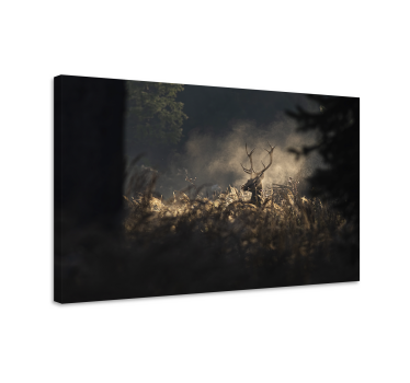 Hirsch bild leinwand edle hirsch silhouette - TenStickers
