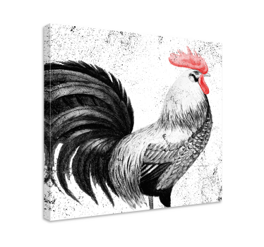 Wandbild Vogel Schwarzer und roter hahn - TenStickers